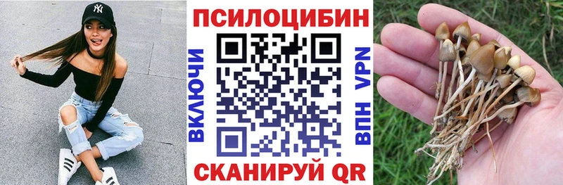 Галлюциногенные грибы ЛСД Спас-Деменск
